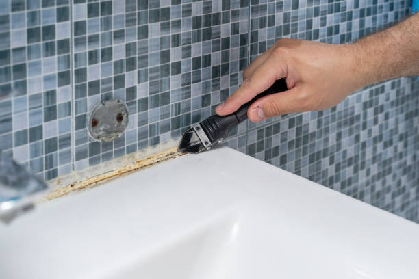 Best Best Mold Removal Companies  in Troy, NY