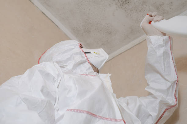 Best Mold Removal Process  in Troy, NY
