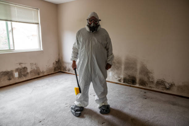 Best Mold Testing  in Troy, NY